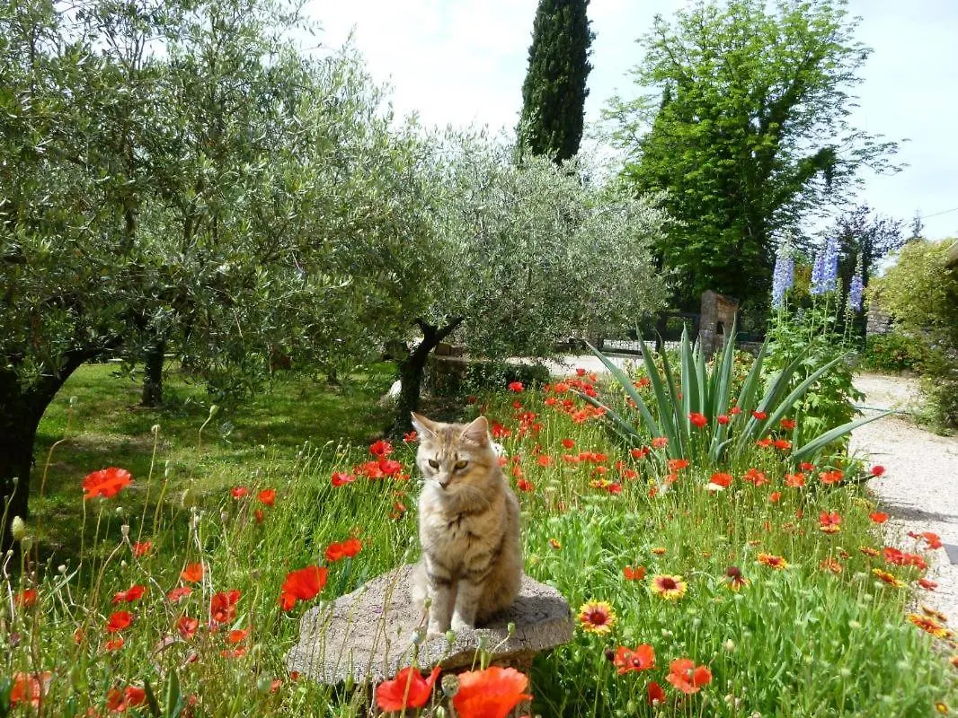 Villa La Cascade Villecroze